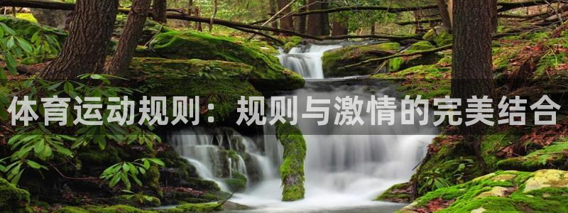 谈球吧