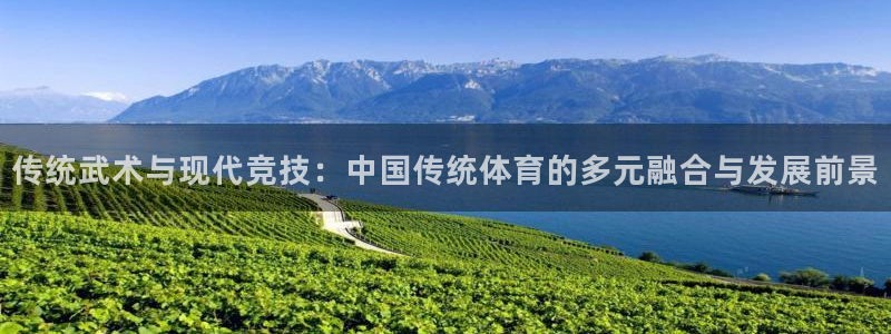 谈球吧：传统武术与现代竞技：中国传统体育的多元融合与发展前景