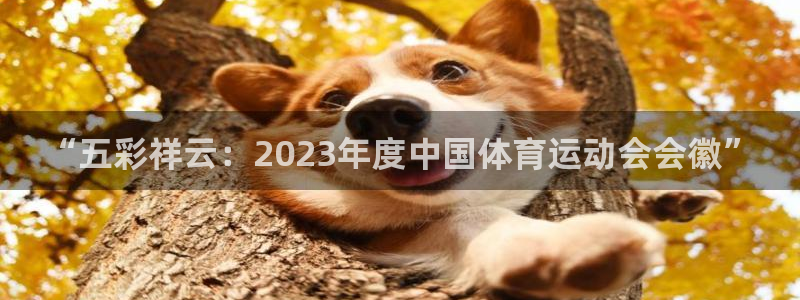 谈球吧体育官网：“五彩祥云：2023年度中国体育运动会会徽”