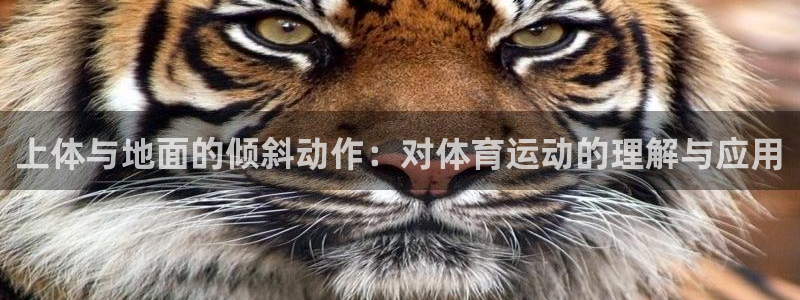 谈球吧体育官网：上体与地面的倾斜动作：对体育运动的理解与应用
