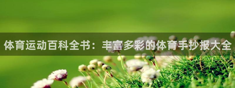 谈球吧：体育运动百科全书：丰富多彩的体育手抄报大全