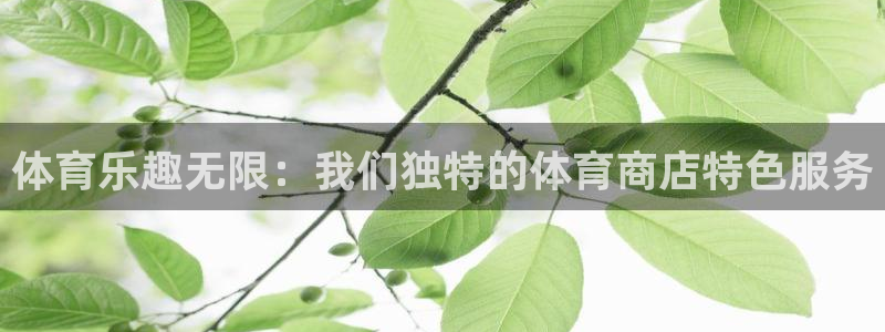 谈球吧体育官网：体育乐趣无限：我们独特的体育商店特色服务