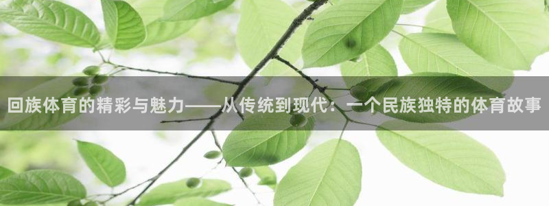 谈球吧体育