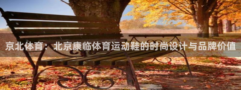 谈球吧体育官网：京北体育：北京康临体育运动鞋的时尚设计与品牌价值