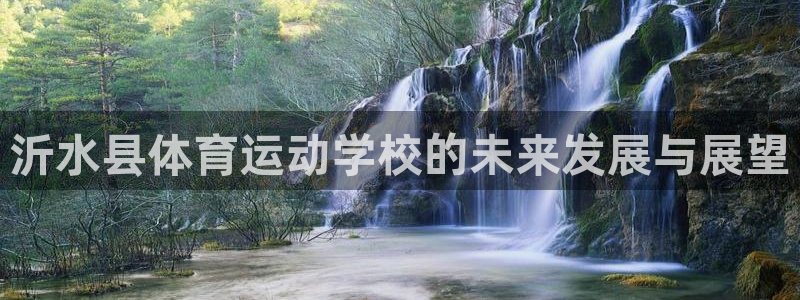谈球吧：沂水县体育运动学校的未来发展与展望