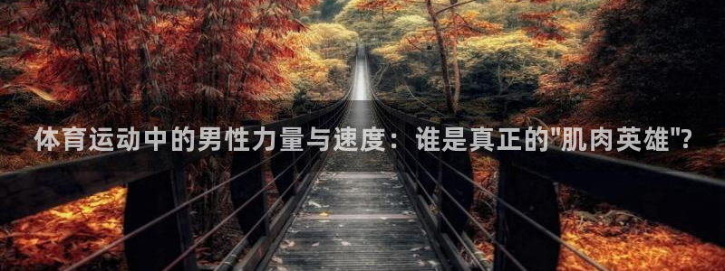 谈球吧